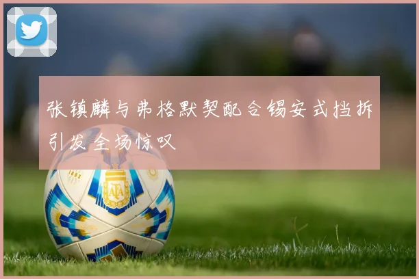 张镇麟与弗格默契配合锡安式挡拆引发全场惊叹