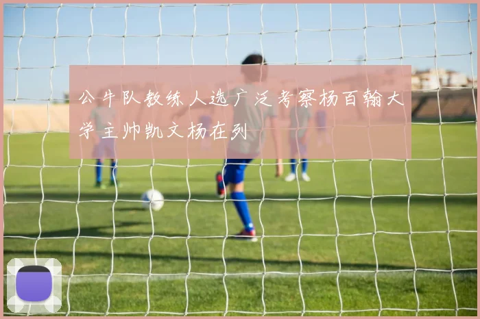 公牛队教练人选广泛考察杨百翰大学主帅凯文杨在列